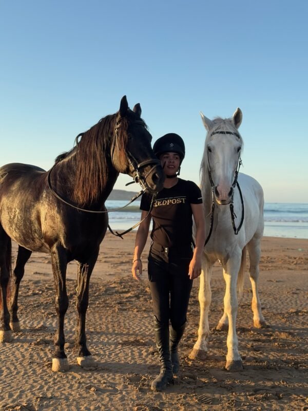 Riding Abroad? How to Prepare for Different Terrain, Weather & Risk