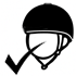 Fits Any Charles Owen Jockey Skull