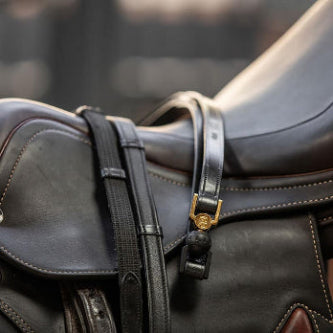 Safety reins