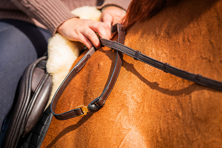 FR Vincitore Reins